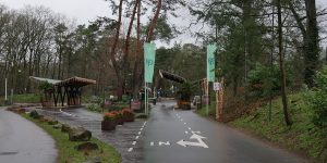 toerisme 40 jaar Heijderbos