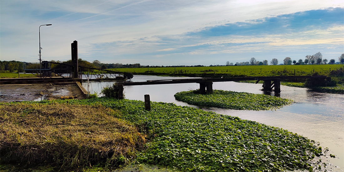 Vuilvang Niers Maas Milsbeek Dijkversterking