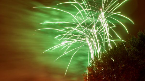 Kindervuurwerkshow Nachtbloemen