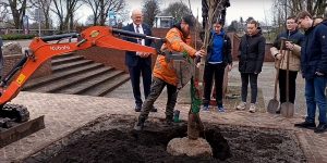 Anne Frankboom geplant