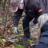 IVN Maas en Niers Gennep