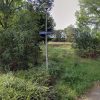 Amerikaanse eik Kalboerhof blijft