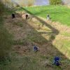 Maas Cleanup