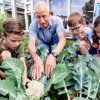 Moestuincoach