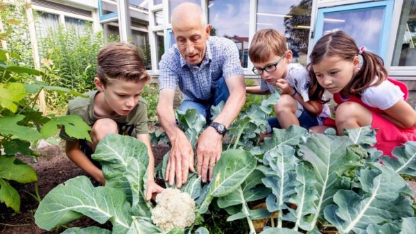 Moestuincoach