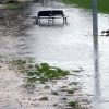 Wateroverlast treft sportverenigingen Extreme regen