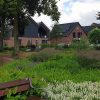 Groene explosie door natte zomer