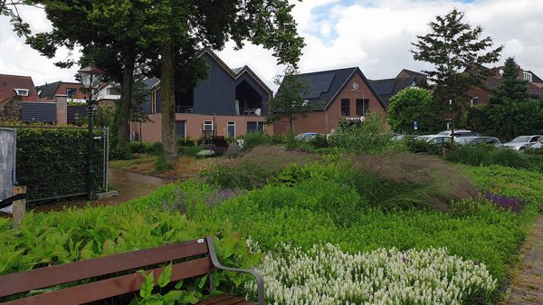 Groene explosie door natte zomer