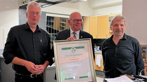 Hommersum wint goud in dorpscompetitie