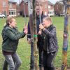 Kinderen van Basisschool De Ratel planten bomen in Pagepark