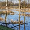 Hoogwater Foto Od Hermens-Bloemers