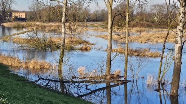 Hoogwater Foto Od Hermens-Bloemers