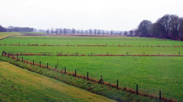 Lob van Gennep vertraging