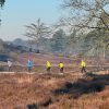hardloopcursus Loopgroep GO Quin crossloop