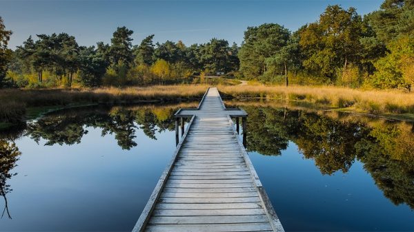 vlonderpad bij het Eendenmeer