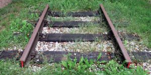 Column-Dwarsliggert-GennepNews