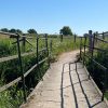 Ruim 800 wandelaars Meidoornbloesemtocht