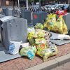 dwarsliggert column zien afval