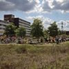 Rommelmarkt in Weverpark