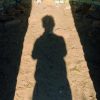Fotoworkshop met De Wolven