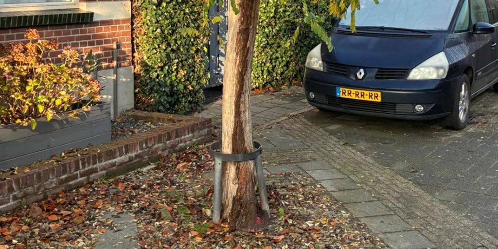 Bomenkap in Gennep