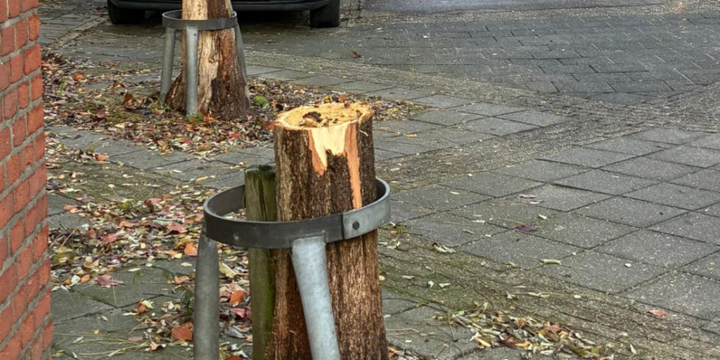 Bomenkap in Emmastraat en Bergstraat zorgt voor verdeelde reacties