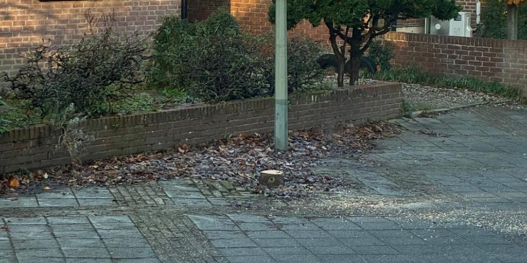Bomenkap in Gennep