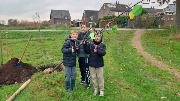 Boomfeestdag op 't Ploegs Veldje