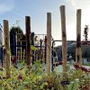 GroenBlauw schoolplein geopend in Heijen