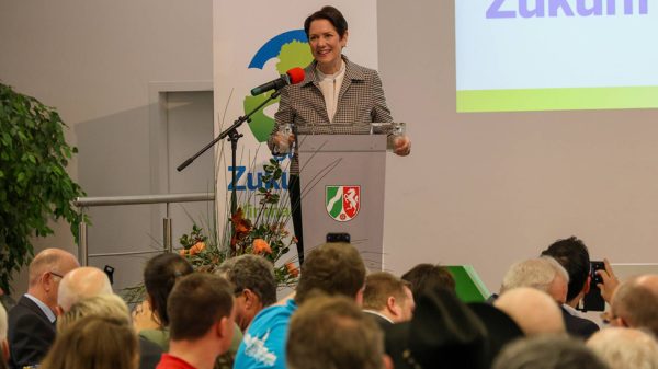 Toekomst 2025 levert Hommersum drie prijzen op (1)