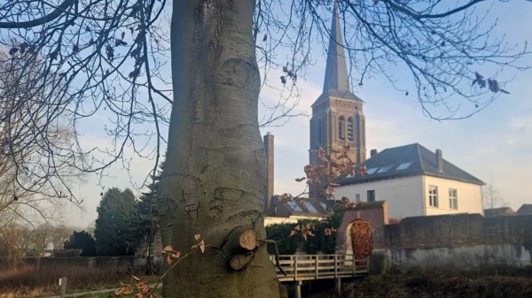 Beuken Gennep Martinustoren Melkstraatje