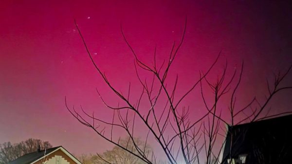 Noorderlicht GennepGezien Gennep Nicole Manders