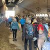 Wintertinteltenentocht Oeffelt groot succes (1)