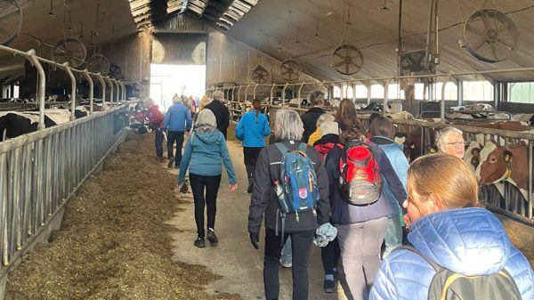 Wintertinteltenentocht Oeffelt groot succes (1)
