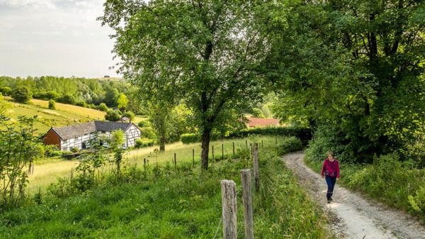 175 km aan nieuw wandelplezier in Limburg beertenshoven-bob_luijks