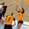 VIOSSPES laat winst glippen