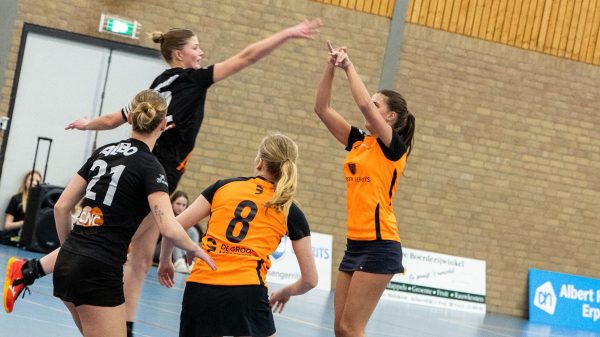 VIOSSPES laat winst glippen