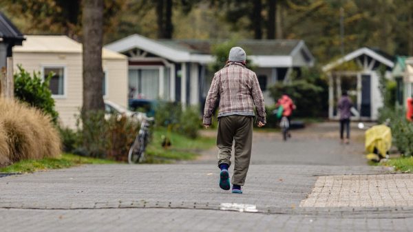 Leerwerklijn helpt Oekraïners vooruit