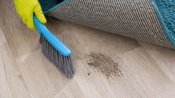 Schoon genoeg