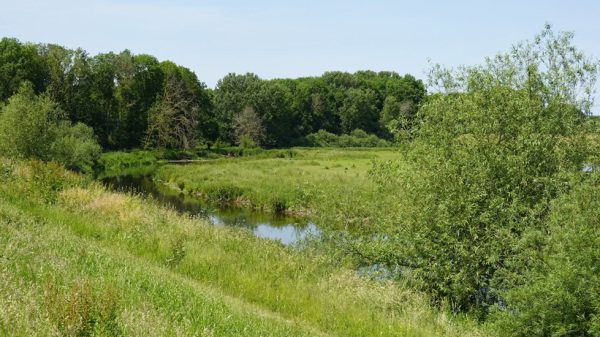 Niers richting Maaskemp Gebiedsvisie Maaskemp